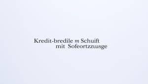 Kredit ohne Schufa mit Sofortzusage